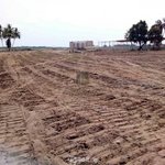 1151.5m² Land in Al Jaddaf, UAE No. 7987 - Image 3