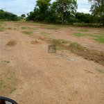 1151.5m² Land in Al Jaddaf, UAE No. 7987 - Image 7