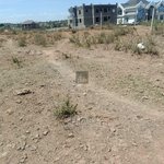 1151.5m² Land in Al Jaddaf, UAE No. 7987 - Image 10