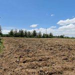 1151.5m² Land in Al Jaddaf, UAE No. 7987 - Image 16