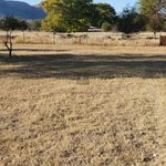 769m² Land in Al Khawaneej, UAE No. 7991 - land in Dubai