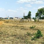 769m² Land in Al Khawaneej, UAE No. 7991 - Image 2