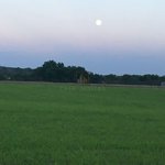 769m² Land in Al Khawaneej, UAE No. 7991 - Image 8