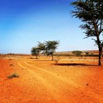 769m² Land in Al Khawaneej, UAE No. 7991 - Image 9