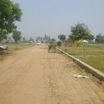 769m² Land in Al Khawaneej, UAE No. 7991 - Image 18