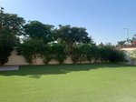 5 bedrooms Villa in Jumeirah Park, UAE No. 8001 - Image 2