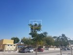 1175.9m² Land in Deira, UAE No. 8006 - Image 3