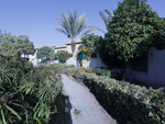 7 bedrooms Villa in The Villa, UAE No. 8104 - Image 24