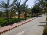 3 bedrooms Villa in The Sustainable City, UAE No. 8752 - Image 3