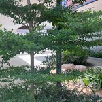 4 bedrooms Apartment in Saadiyat Island, UAE No. 9258 - Image 2