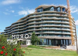 Studio in Montevideo, Uruguay No. 3918