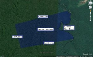 1074000m² Hotel in Amazon, USA No. 229