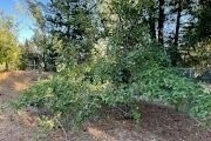 Studio in Georgetown, USA No. 316339