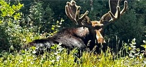 Studio in Lyons, USA No. 375339