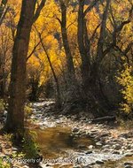 6 bedrooms Commercial property in New Castle, USA No. 560253 - Image 5