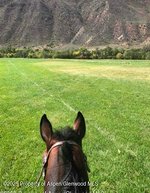 6 bedrooms Commercial property in New Castle, USA No. 560253 - Image 7