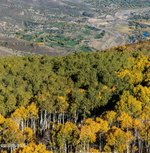 4 bedrooms Commercial property in Wolcott, USA No. 65 - Image 18