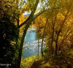 2 bedrooms Cafe / restaurant in Edwards, USA No. 80 - Image 18