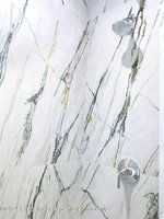 4 bedrooms Commercial property in Basalt, USA No. 85 - Image 15